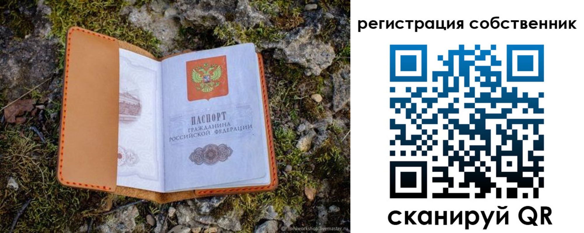 прописка поиск в Кингисеппе